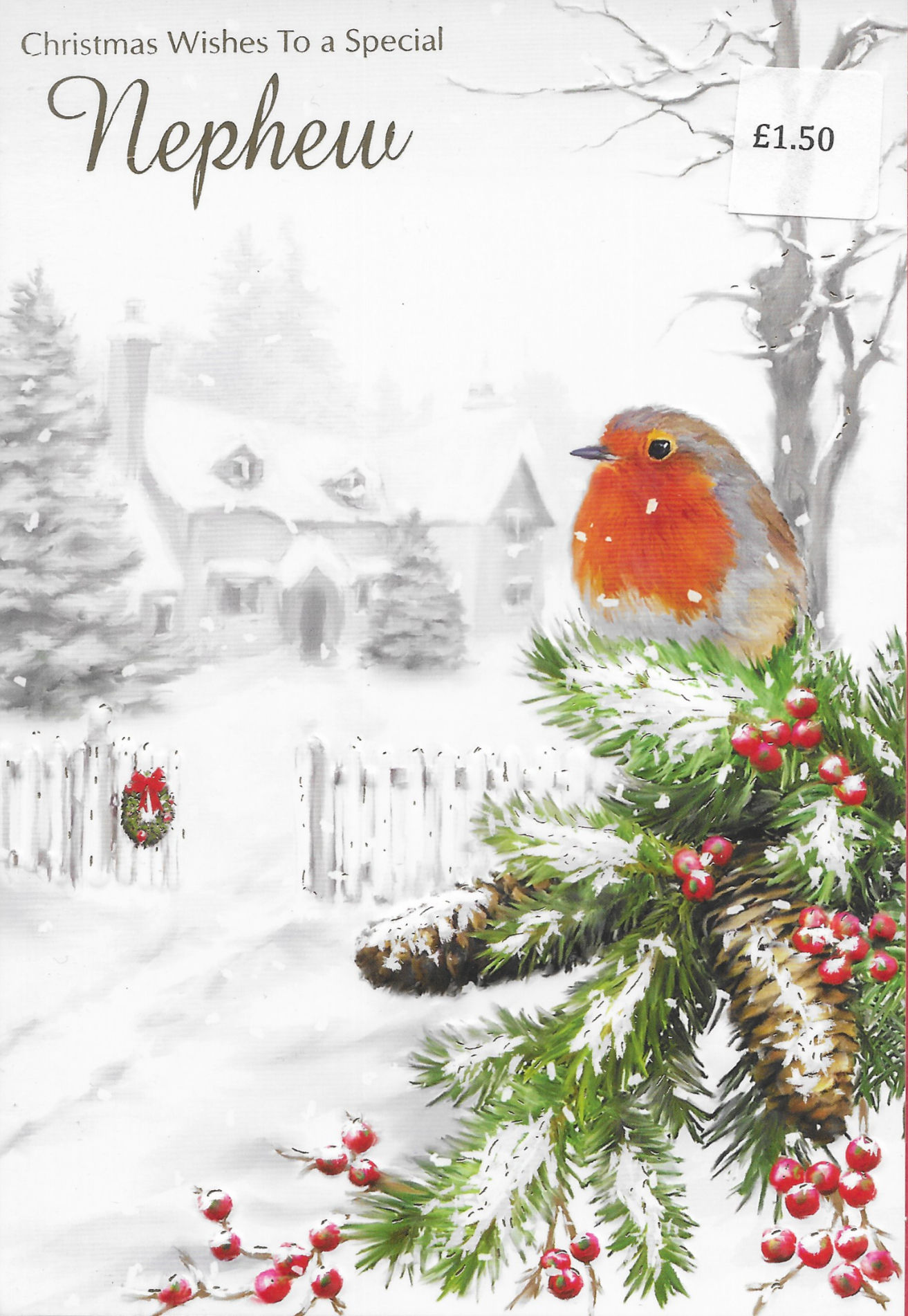 An adult Nephew Christmas card (Robin)