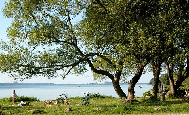 Towns - Fredensborg - Credits VisitNordsjaelland-1600px.jpg