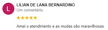 Captura de tela 2021-09-02 133433.png