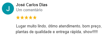 Captura de tela 2021-09-02 133318.png