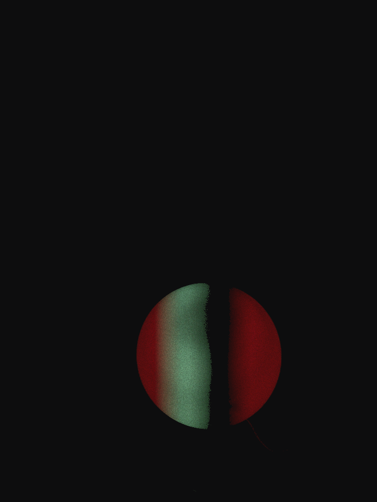 IMG_0004.GIF