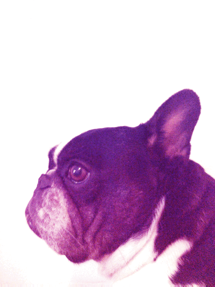 IMG_0018.GIF
