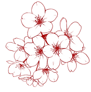 Fleurs de cerisier rouge