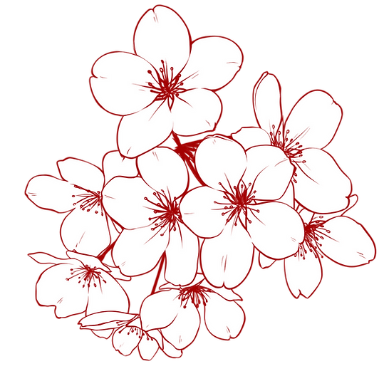 Fleurs de cerisier rouge