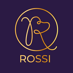 ROSSI-01.png