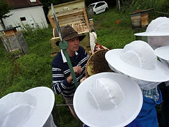 Kindergarten bei den Schlossbienen.JPG