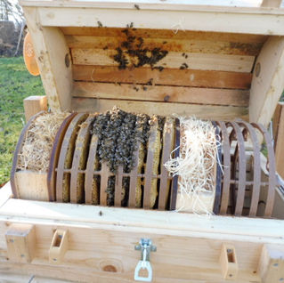 Weihnachts- und Neujahrsrundbrief