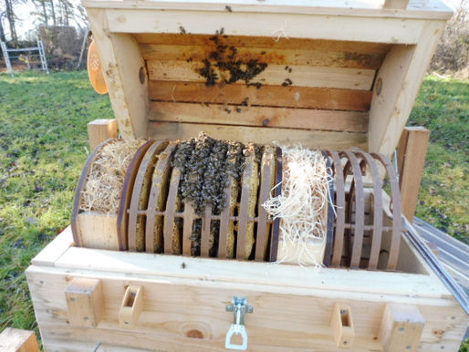  Weihnachts- und Neujahrsrundbrief 