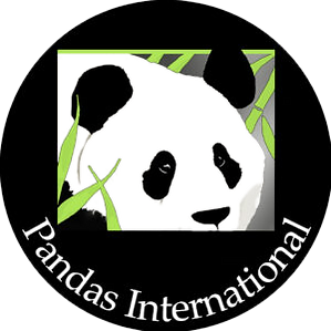 pandas-int_edited.png