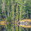 Thumbnail: Boreal Reflection Greeting Card