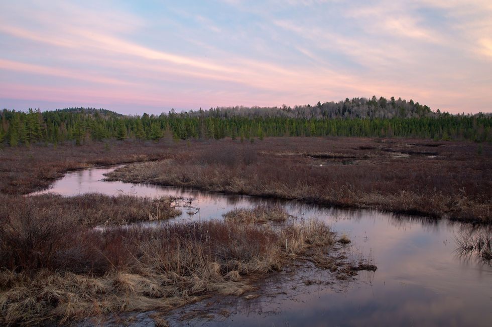 Sunset in Algonquin Provincial Park