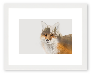 White frame fo prits