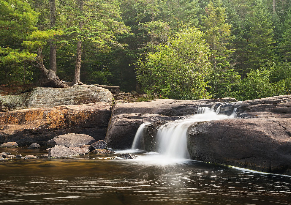 Pretty Portage Greeting Card