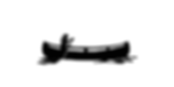 Canoe Silhouette