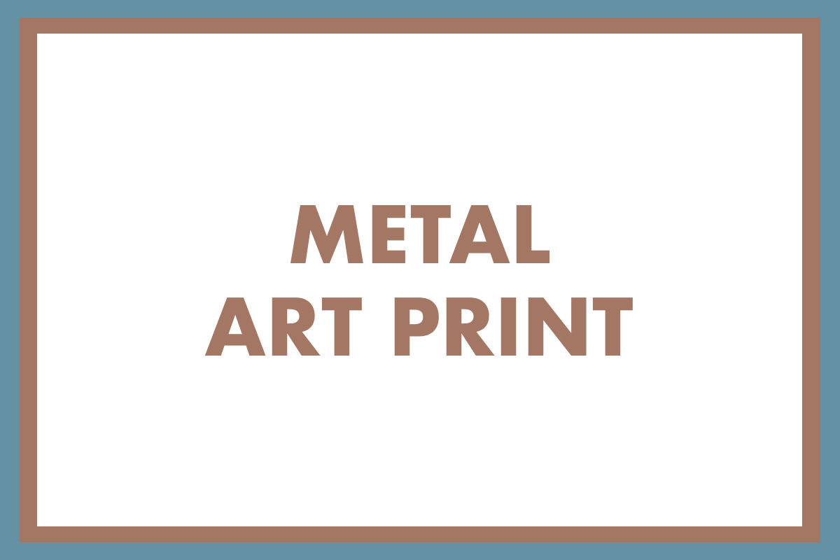 Metal Art Print