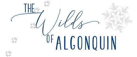 Wilds Website Header copy.jpg