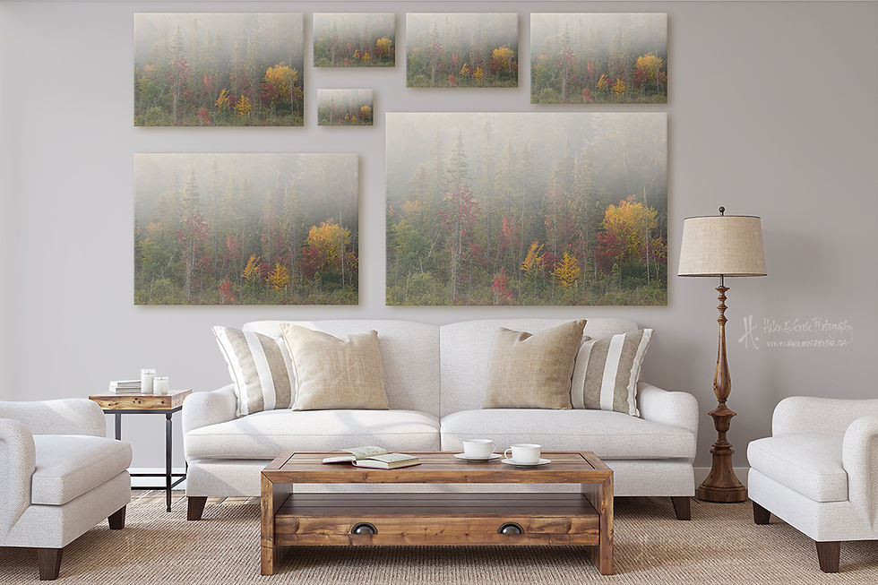 Thumbnail: Autumn Silence