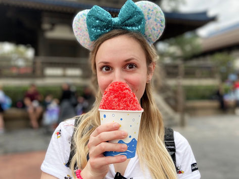 My Disney Bucket List