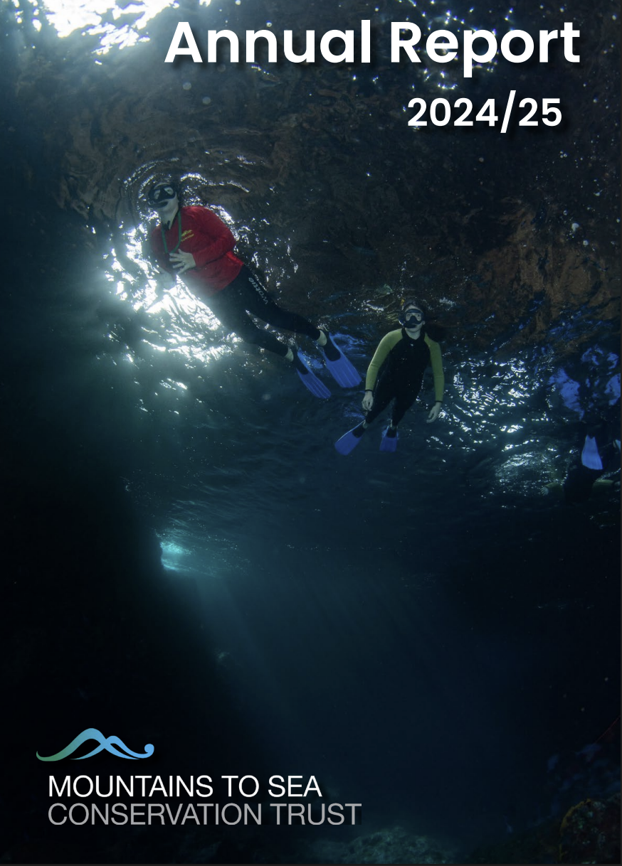 Download PDF of Annual Report 2025