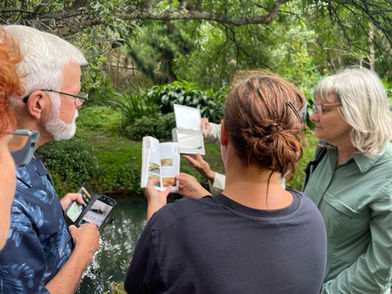 Glendowie Stream Fish Life Under the Microscope Thanks to Partnership