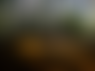 Wai Connection Year 2 Report