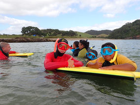 Whananaki Community Snorkel Day