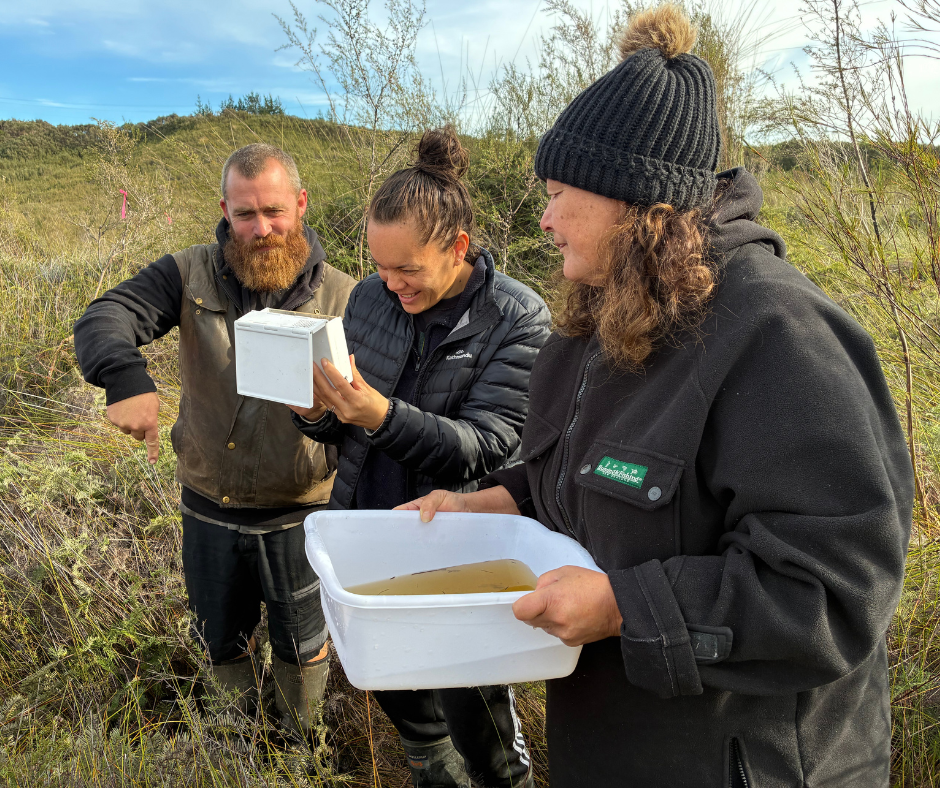 This project is in collaboration with the Department of Conservation, Northland Regional Council, and local hapū.