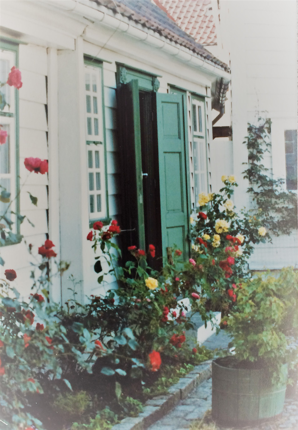 Blooms