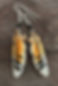 American Kestril Outer Tail Earrings-Thunder Puppy Art copy.jpg