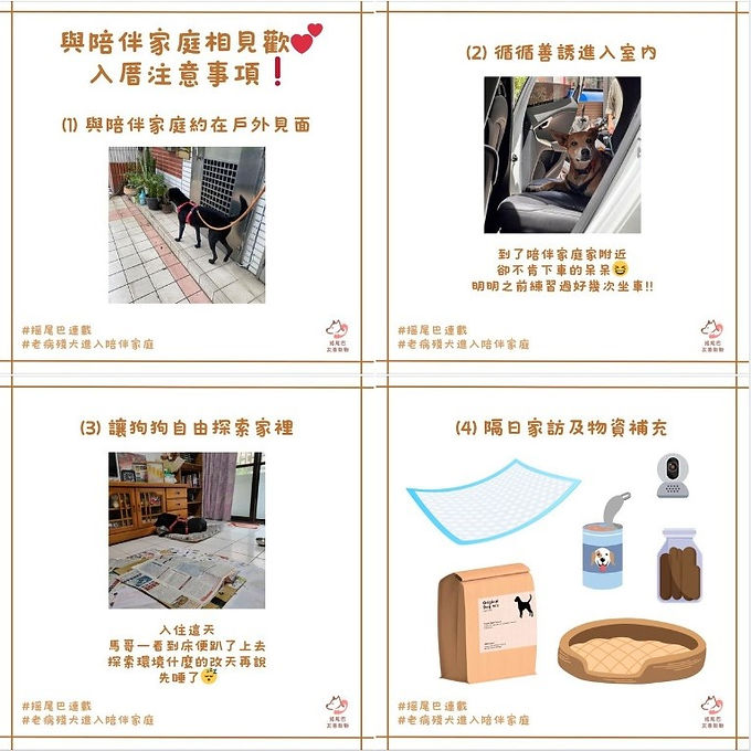 在入住這天,狗狗也許剛經歷了長時間的車程,又來到全然陌生的環境,因此更需要我們細心照顧狗狗的心理狀態,讓狗狗對新家留下好的第一印象🏠!