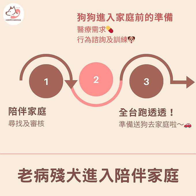 老、病、殘,或有行為問題的狗狗,往往不是人們領養的首選😭;但比起健康的狗狗,牠們更需要被人類照顧,才有機會維持基本的生活品質。
照顧這樣特殊的狗狗,需要許多時間、心力以及資源,一般人是很難獨自支撐的;因此我們採用「陪伴家庭」的制度:在找到合適的陪伴家庭後,我們便會募集狗狗維持基本生活所需的資源,讓陪伴家庭在照顧狗狗時能無後顧之憂💪。