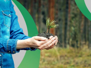 3 exitosos proyectos de sostenibilidad ambiental