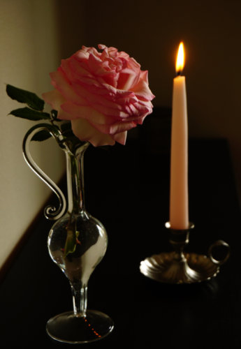 DSC08584.png