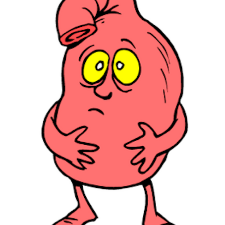 Abdominal Examination