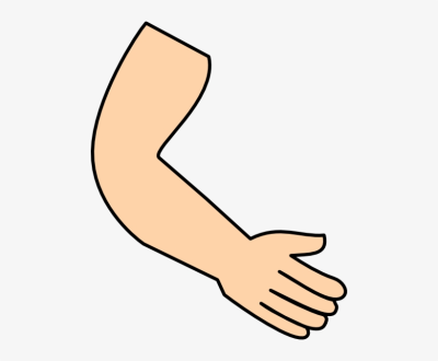 Upper Limb - Neurology Examination