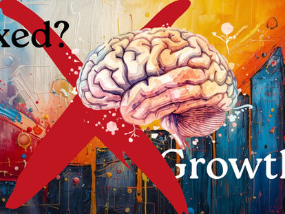 The day I discovered that mindsets are not purely fixed or growth - Part One
