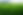 DSC01781.JPG