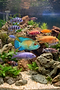 Firefly_GeminiFlash_create photo-realistic image of a fish tank with cichlid fish 757692.p