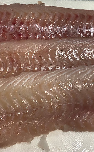 Filet de Lingue Bleue x6kg