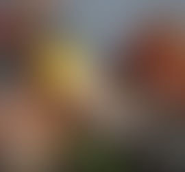 Five Unique Date Night Ideas near Stone Mountain This Month