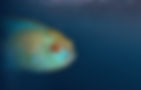 CWT7.jpg