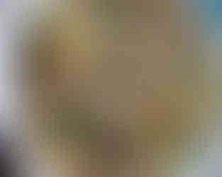 Mushroom, Broccoli, Corn oats