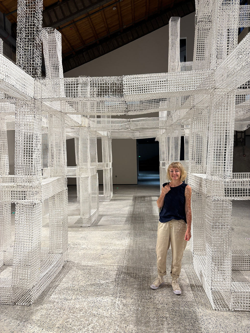 Installation de Nelson Lim