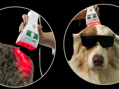 Erros Comuns no Uso da Fototerapia e Como Evitá-los