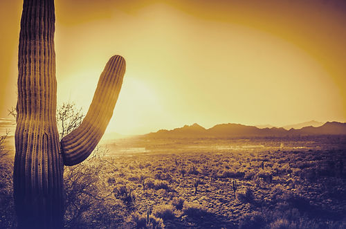 Desert Sunset Scene