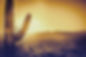Desert Sunset Scene