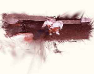 Polycam Capture - Download Free 3D Model on Polycam - Google Chrome 2023-10-04 18-23-02.gi