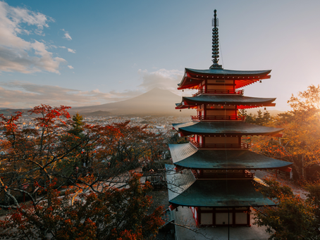Poucos lugares no mundo conseguem equilibrar tão bem o antigo e o moderno quanto o Japão. E é exatamente essa fusão de contrastes que o roteiro "Japão - Novo Banzai", oferecido pela Milessis Operadora, proporciona aos seus viajantes. Durante 10 dias, percorremos os principais ícones culturais, naturais e urbanos do país, com conforto, segurança e experiências autênticas. Ideal para quem busca uma primeira imersão no Japão, o roteiro inclui paradas em cidades históricas como Kyoto e Kanazawa, tra