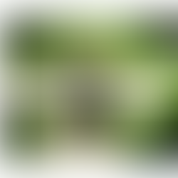 O SEU SUCESSO ESTÁ NO FOCO DOS SEUS RESULTADOS