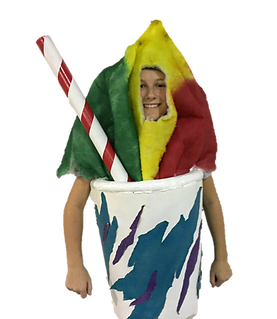 sno_edited.png